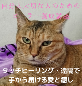 自分と大切な人のためのヒーラー養成講座 zoomオンライン講座